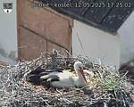 Capi_Dubne_20250512_172502.jpg