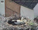 Capi_Dubne_20250512_175002.jpg