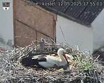 Capi_Dubne_20250512_175503.jpg