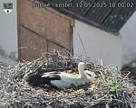 Capi_Dubne_20250512_180002.jpg