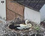 Capi_Dubne_20250512_181003.jpg