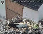 Capi_Dubne_20250512_181502.jpg