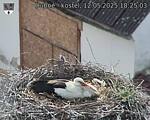 Capi_Dubne_20250512_182503.jpg