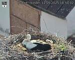Capi_Dubne_20250512_185002.jpg