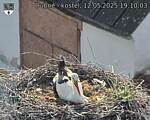 Capi_Dubne_20250512_191003.jpg