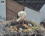 Capi_Dubne_20250512_191503.jpg