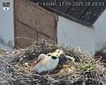 Capi_Dubne_20250512_192003.jpg