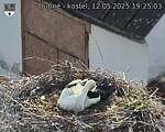 Capi_Dubne_20250512_192503.jpg