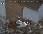 Capi_Dubne_20250512_200502.jpg