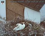 Capi_Dubne_20250512_201503.jpg