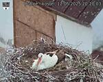 Capi_Dubne_20250512_202003.jpg