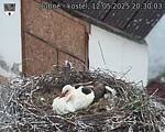 Capi_Dubne_20250512_203003.jpg