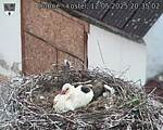 Capi_Dubne_20250512_203502.jpg