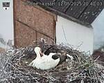 Capi_Dubne_20250512_204003.jpg