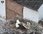 Capi_Dubne_20250512_204502.jpg