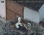Capi_Dubne_20250512_205003.jpg