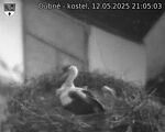 Capi_Dubne_20250512_210503.jpg