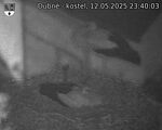 Capi_Dubne_20250512_234003.jpg