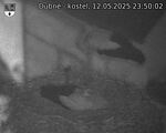 Capi_Dubne_20250512_235002.jpg
