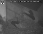 Capi_Dubne_20250513_000002.jpg
