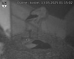 Capi_Dubne_20250513_011502.jpg