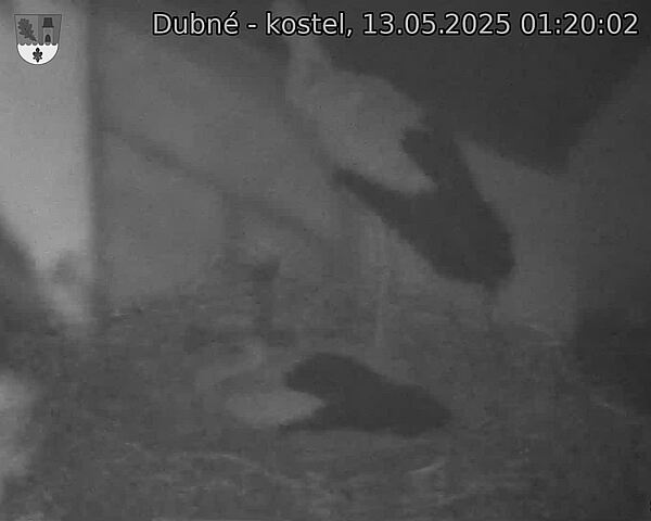 Capi_Dubne_20250513_012002.jpg (1350 x 1080)