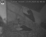 Capi_Dubne_20250513_024002.jpg