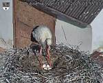 Capi_Dubne_20250513_075503.jpg