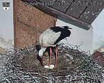 Capi_Dubne_20250513_085004.jpg
