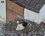 Capi_Dubne_20250513_092003.jpg