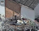 Capi_Dubne_20250513_150503.jpg