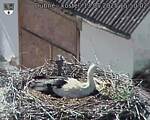 Capi_Dubne_20250513_155002.jpg