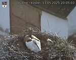Capi_Dubne_20250513_200503.jpg