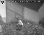 Capi_Dubne_20250513_211003.jpg