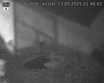 Capi_Dubne_20250513_214002.jpg