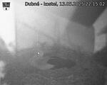Capi_Dubne_20250513_221503.jpg