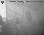 Capi_Dubne_20250514_001502.jpg