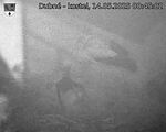 Capi_Dubne_20250514_004502.jpg
