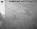 Capi_Dubne_20250514_005002.jpg