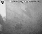 Capi_Dubne_20250514_022503.jpg