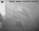 Capi_Dubne_20250514_035502.jpg