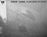 Capi_Dubne_20250514_041502.jpg