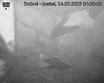 Capi_Dubne_20250514_043002.jpg