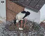 Capi_Dubne_20250514_082004.jpg