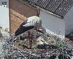 Capi_Dubne_20250514_144503.jpg