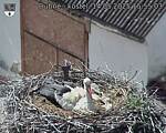 Capi_Dubne_20250514_155503.jpg