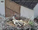 Capi_Dubne_20250514_173503.jpg