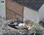 Capi_Dubne_20250514_175004.jpg