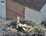 Capi_Dubne_20250514_190503.jpg