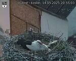 Capi_Dubne_20250514_205503.jpg